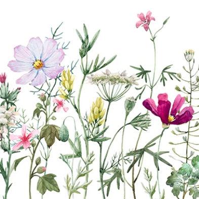 'Spring Flowers with Stems' | Rice Paper Decoupage Tissue | 30 x 32cm x 3 sheets - Vintage Attic Sevenoaks