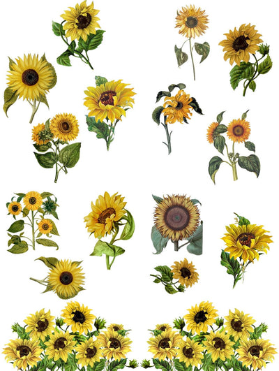 'Sunflowers' | Decor Transfers | Large Transfer |62 x 81 cm - Vintage Attic Sevenoaks