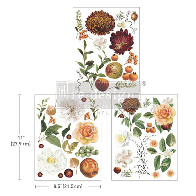 Seasonal Splendor Middy transfers, redesign with prima, deco furniture transfers stickers, seasonal splender 