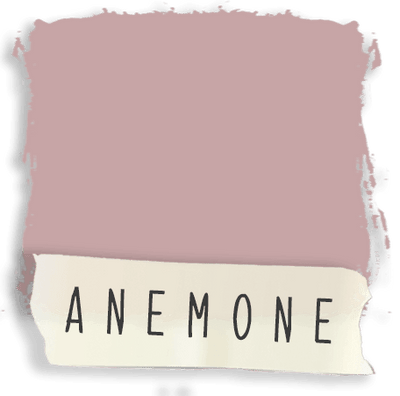 Anemone | Dab Soya Paint - Vintage Attic Sevenoaks