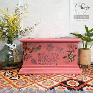 Clearly Aligned Clear Cling Stamps | Re-Design Prima Decor | Botanical Encyclopedia - Vintage Attic Sevenoaks