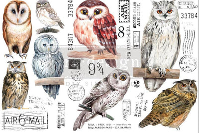 Decor Transfers | Redesign With Prima | OWL | 6" X 12" 3 SHEETS - Vintage Attic Sevenoaks