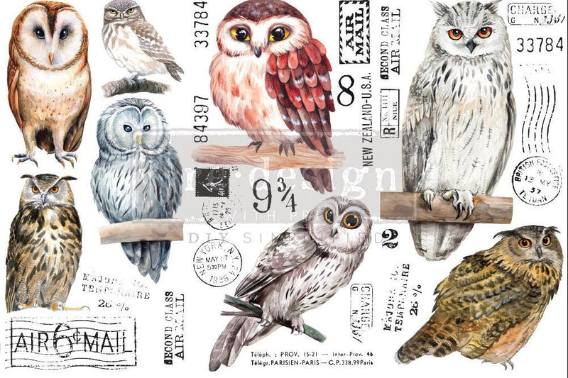 Decor Transfers | Redesign With Prima | OWL | 6" X 12" 3 SHEETS - Vintage Attic Sevenoaks