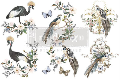 Decor Transfers | Redesign With Prima | RARE BIRDS | 6" X 12" 3 SHEETS - Vintage Attic Sevenoaks