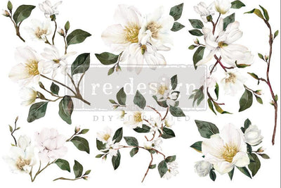 Decor Transfers | Redesign With Prima | WHITE MAGNOLIA | 6" X 12" 3 SHEETS - Vintage Attic Sevenoaks