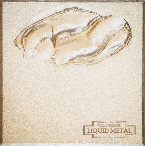 LIQUID METAL PAINT - PLATINUM - Metallic Paints - Vintage Attic Sevenoaks