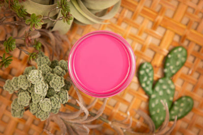 Prickly Pear | Bright Pink | All in One Silk Mineral Paint | Dixie Belle Paint | 118ml, 473ml - Vintage Attic Sevenoaks