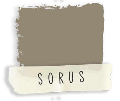 Sorus | Dab Soya Paint - Vintage Attic Sevenoaks