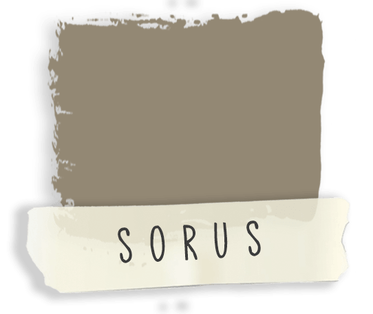 Sorus | Dab Soya Paint - Vintage Attic Sevenoaks