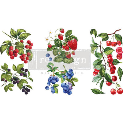 Sweet Berries Small Transfer | Redesign With Prima | 6" X 12" - Vintage Attic Sevenoaks