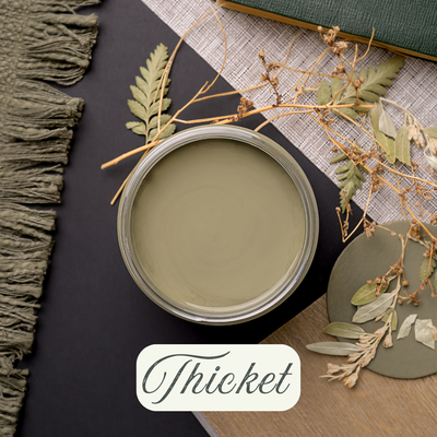 Chalk Mineral Paint - THICKET&nbsp;

Introducing THICKET, Part of our Southern Routes Collection- Establishes 2025!

Bring rich, moody depth to your furniture with Thicket, a moss-inspired green that invites nature indoors.